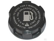 Brandstofdop B&S 494559