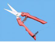 ars Fruit pruner Se45 