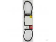 37X100 V-snaar Murray