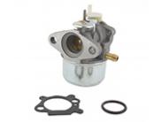 Carburateur 5208192  vervangt BRIGGS & STRATTON 497586, 499059 modellen