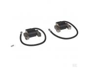 843860, 841279 Ontstekingsspoel B&S