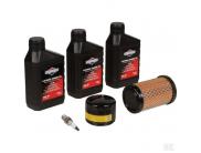 992243 Tune-up kit model 31