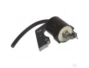 21171-2167, 21171-2112 Ontstekingsspoel Kawasaki