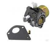 Carburateur B&S 495784