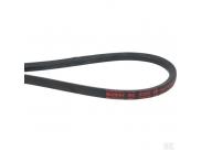 37X22 V-snaar Murray