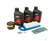 992238, 992208 Service set Model 31 vertical meeste zitmaaier oa Toro 15,16,17 pk